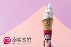 开一家蜜雪冰城店多少钱
